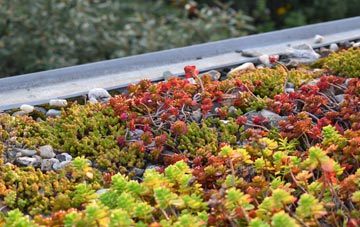 the cost of Ballochearn green roof installation