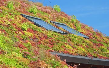 Ballochearn living roof systems